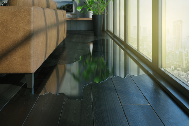 Moisture Meters: An Essential Tool in the Water Damage Restoration Industry
