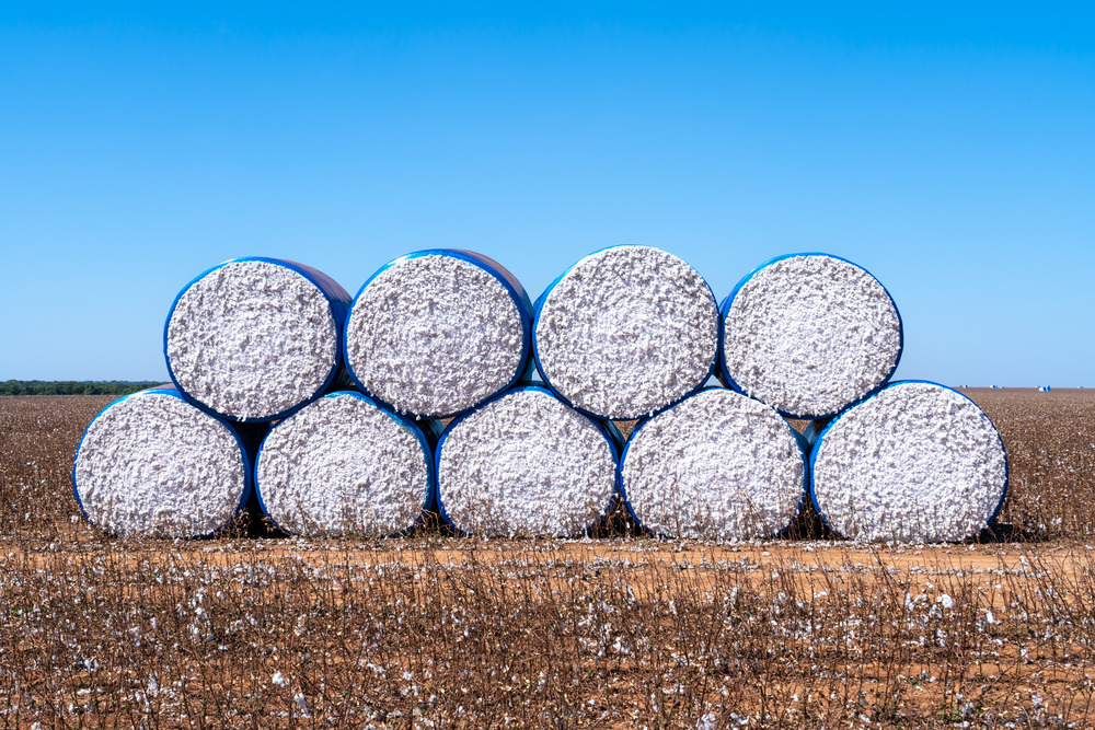 CX-20 & 30 Moisture Meters: Benefits for the Cotton Industry
