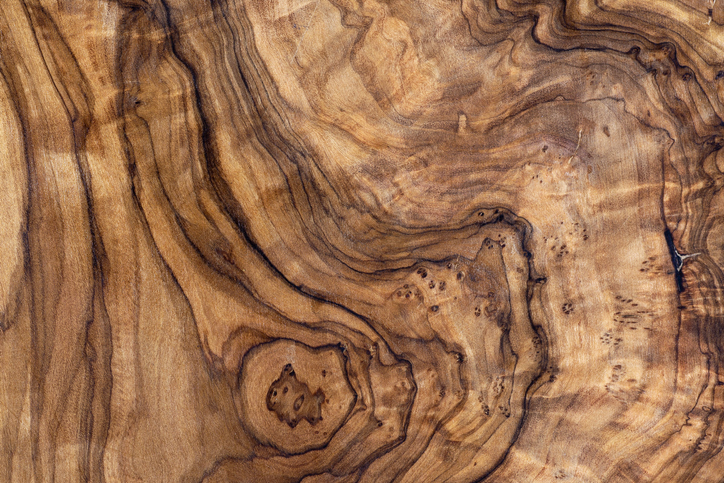 Your Guide to Choosing the Best Moisture Meter for Your Woodworking and Lumber Applications